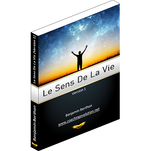 Le Sens De La Vie (Version 1) (2020)